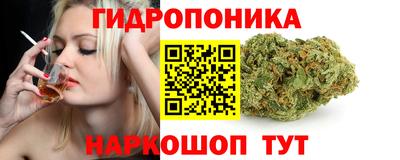 Альфа ПВП Сланцы