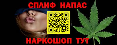 Альфа ПВП Сланцы