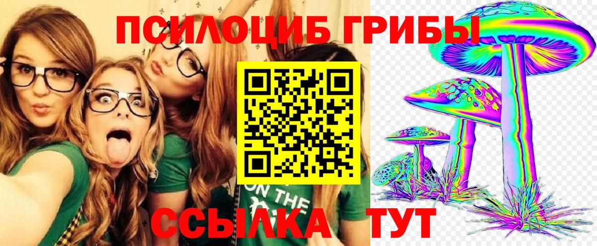 Псилоцибиновые грибы Magic Shrooms  Галлюциногенные грибы Psilocybe  Нурлат  как найти закладки  Вход с VPN 